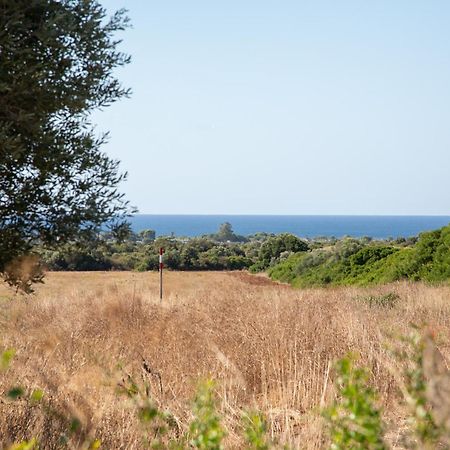 Masseria Scaledda Manduria Dış mekan fotoğraf