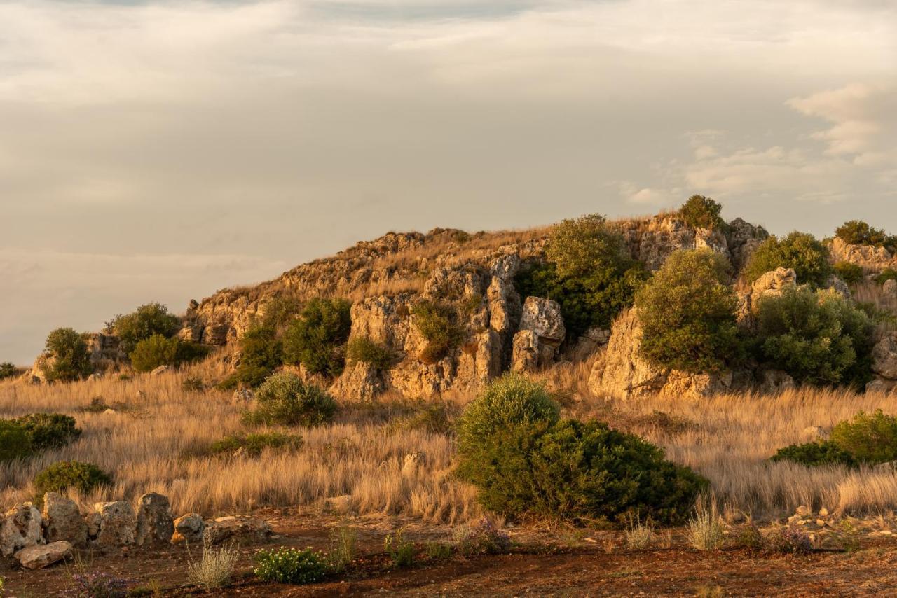 Masseria Scaledda Manduria Dış mekan fotoğraf