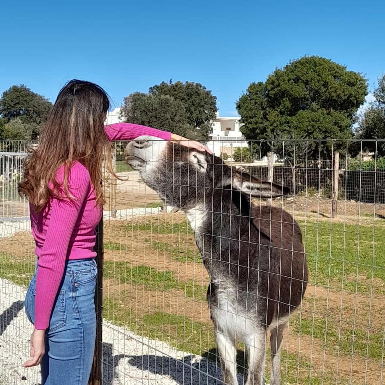 Masseria Scaledda Manduria Dış mekan fotoğraf